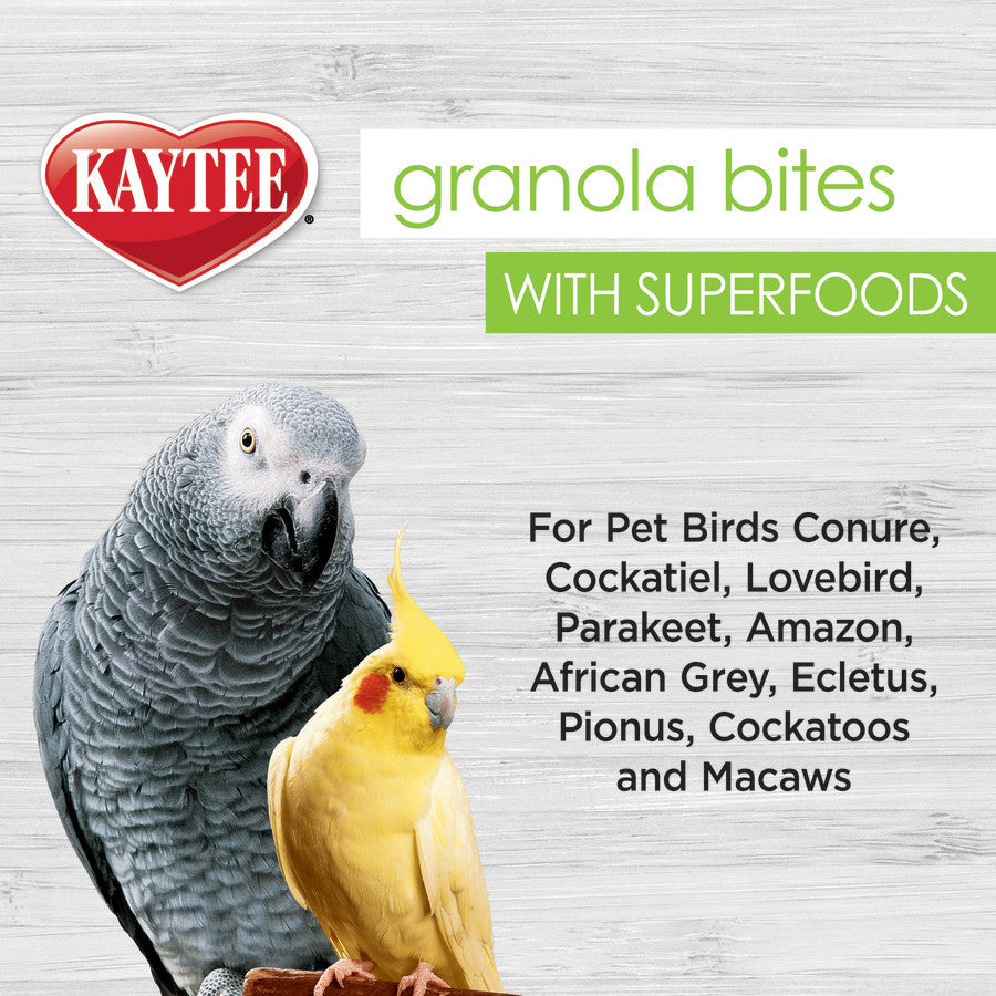 Kaytee Super Food Granola Bites Spinach and Kale Avian Treat 4.5oz