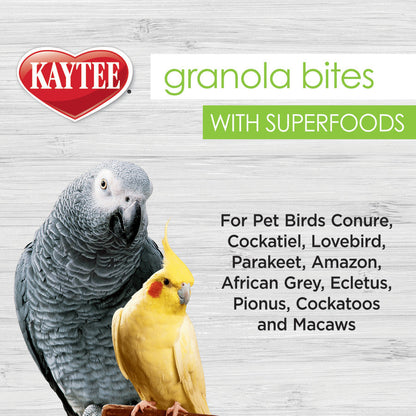 Kaytee Super Food Granola Bites Spinach and Kale Avian Treat 4.5oz