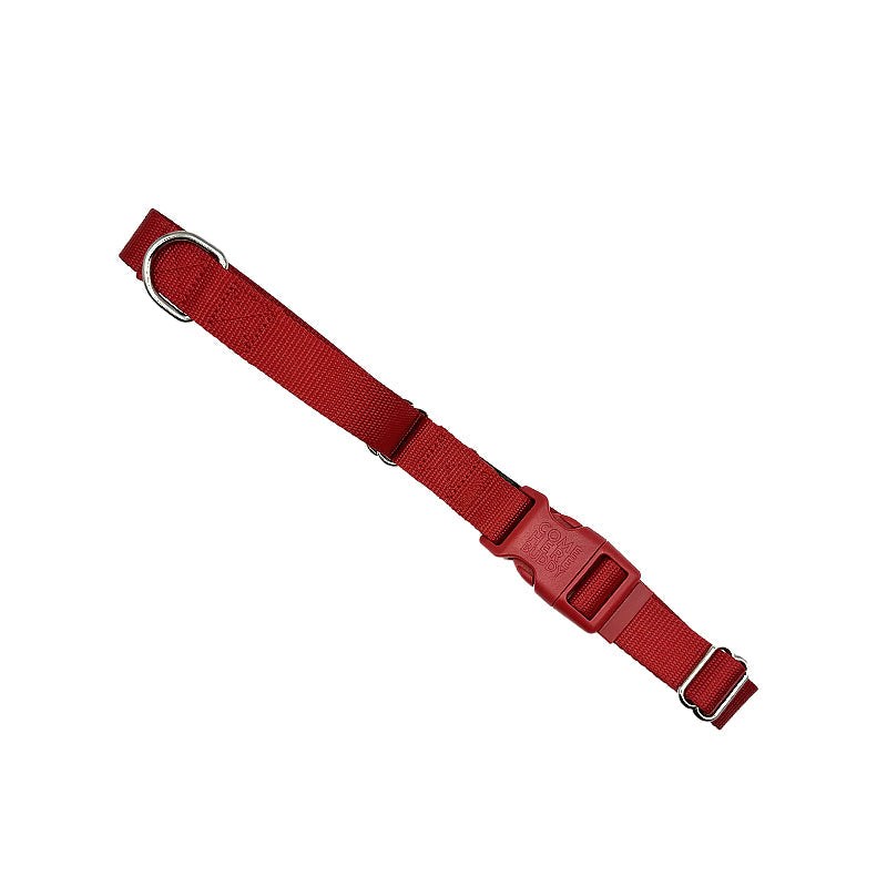 Martingale Dog Collar