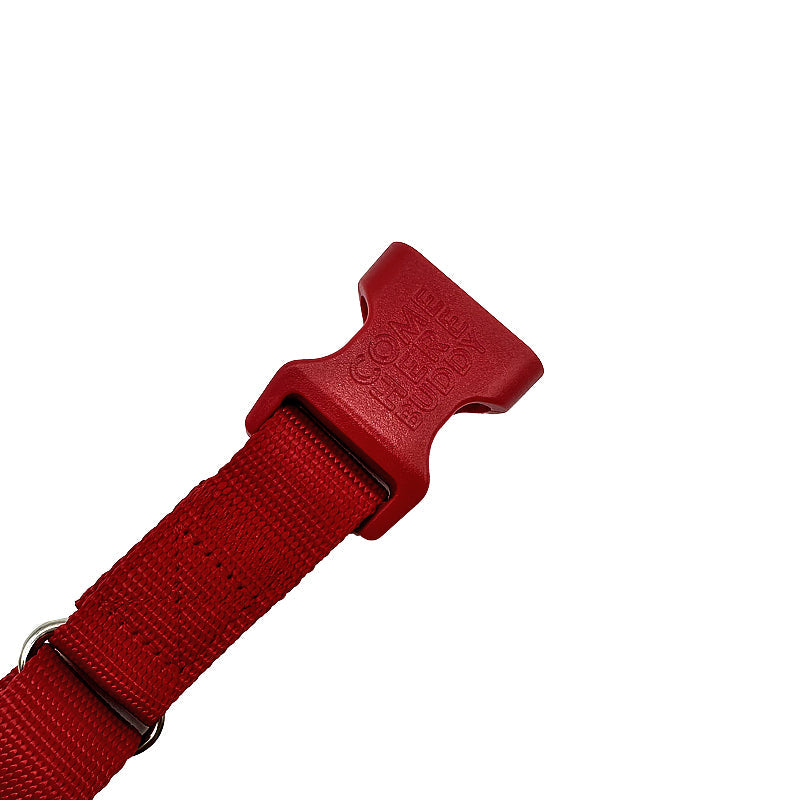 Martingale Dog Collar
