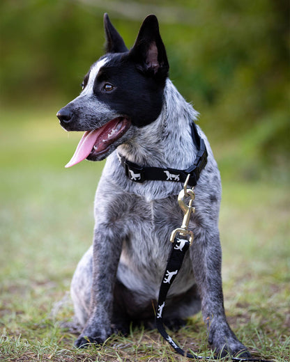 Jeffers Reflective Hound Series Nylon Dog Leash
