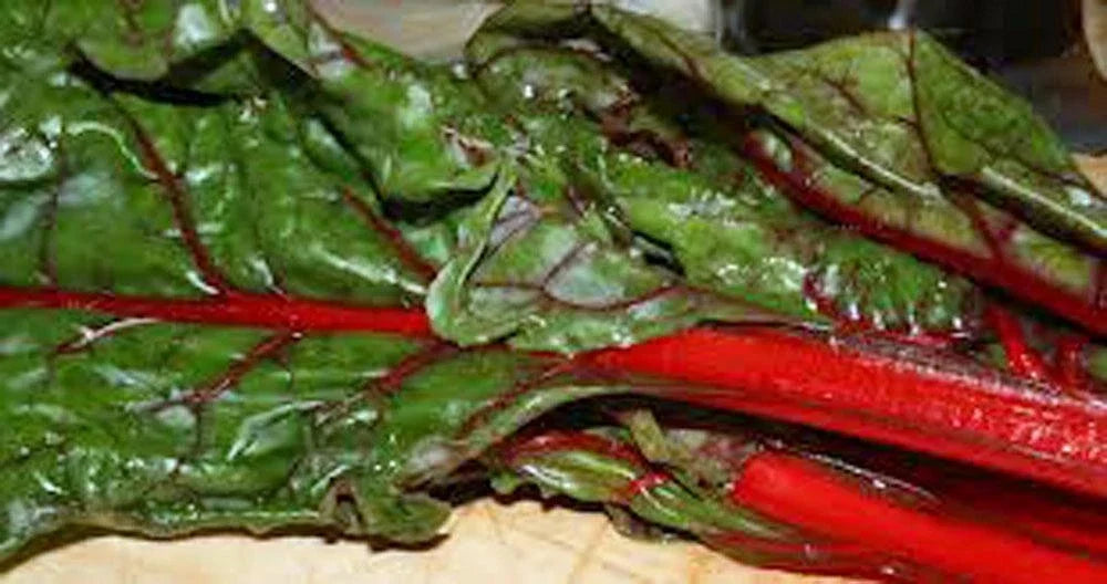 Heirloom Rhubarb and Swiss Chard Seeds – Non-GMO Organic Pack of 1000 for Home Gardening