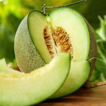 Rocky Ford Green Cantaloupe Seeds - 50+ Count - Heirloom Variety - Cucumis melo Seeds for 2025 Planting