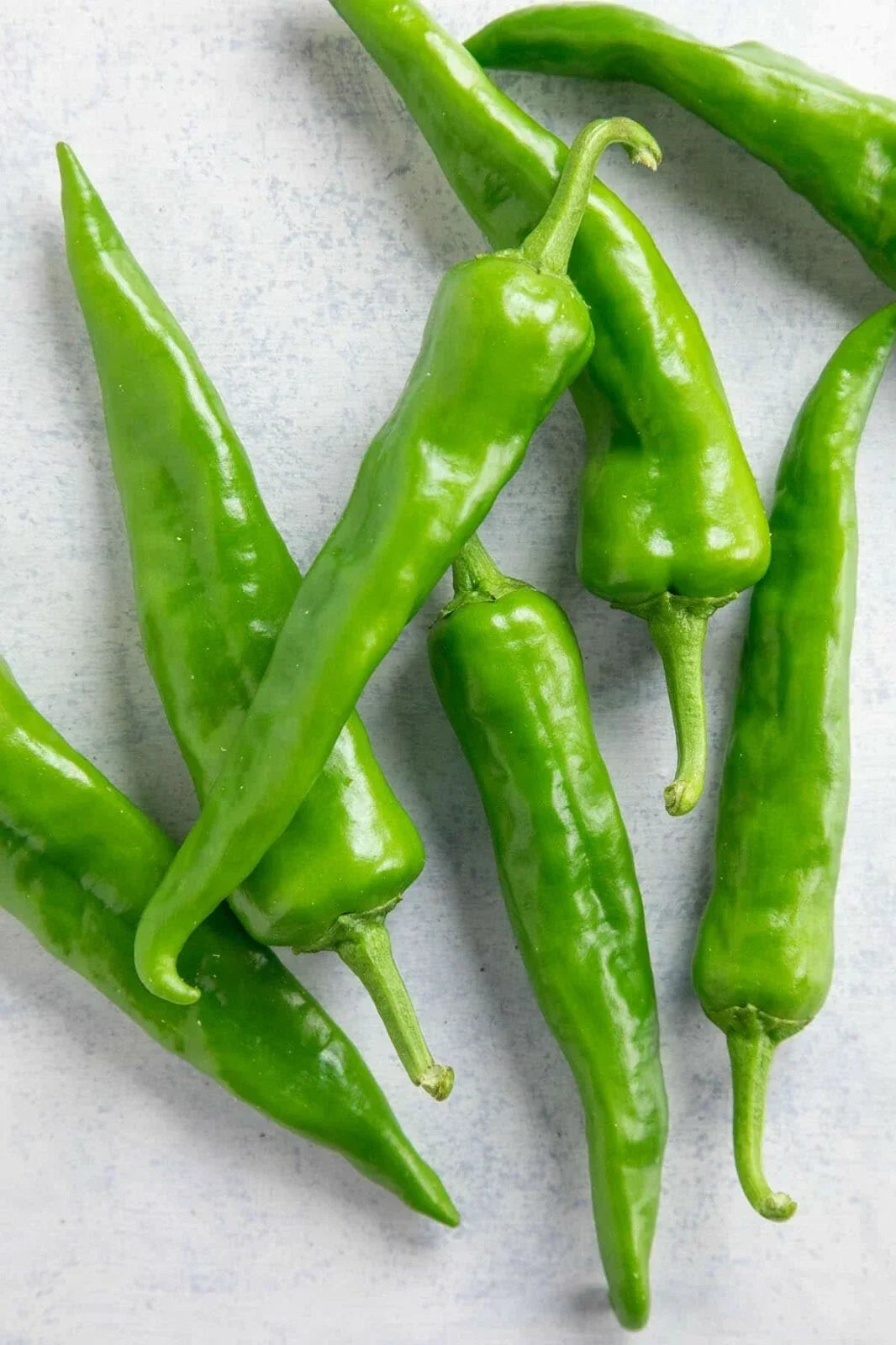 Hatch Sandia Chili Pepper Seeds - NuMex Hot Green Chile, Capsicum annuum, Spicy Green Chili Seeds for Garden or Containers