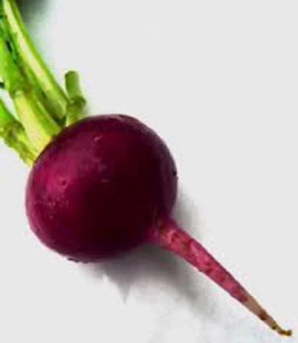 Beet Seeds - 25+ Early Wonder Heirloom Non-GMO Variety - Great Tasting Beet (Beta vulgaris)