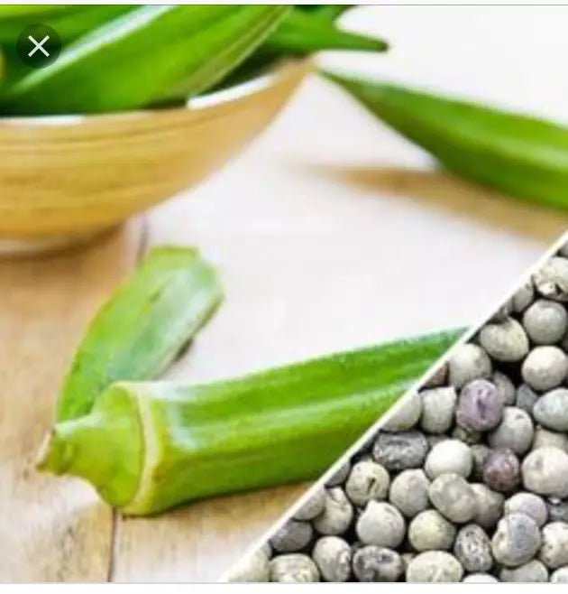 Texas Longhorn Okra Seeds - Heirloom Abelmoschus esculentus, 50+ or 100+ Seeds, Long Pods, Heat Resistant, Garden, Container Planting