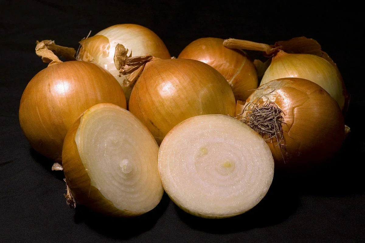 Walla Walla Sweet Onion Seeds - 300 Non-GMO Heirloom Allium cepa for Gardening & Cooking, USA Seller