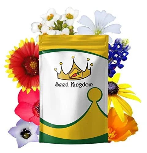 Wildflower Mix Seeds 65g Non-GMO Flower Seeds 21 Varieties for Gardens, Meadows & Borders