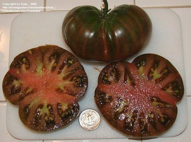 Black From Tula Tomato Seeds - Heirloom Non-GMO Solanum lycopersicum, Rare Dark Tomato Seeds, Heirloom Tomato Seeds for Garden
