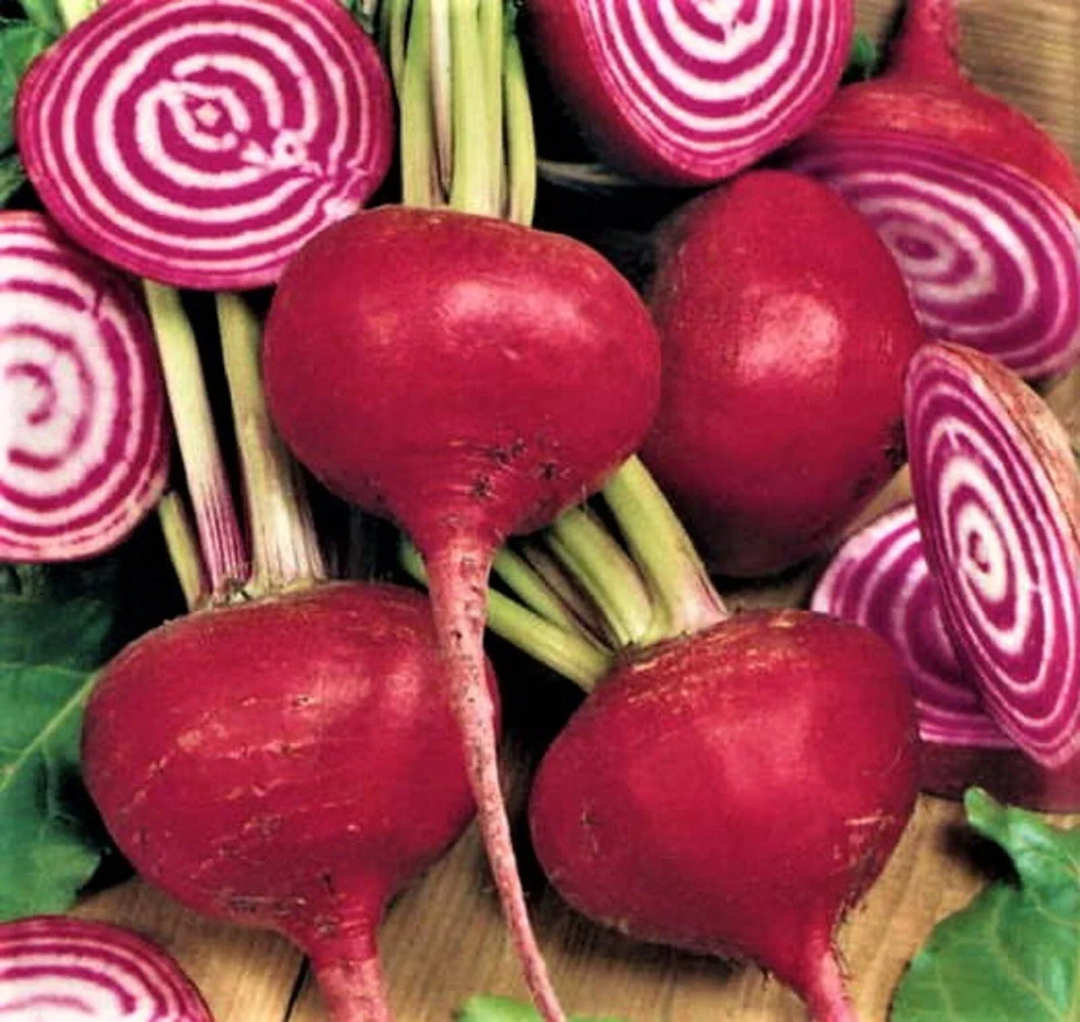 Crosby Egyptian Beet Seeds – Non-GMO Beta vulgaris, Over 100 Seeds for Home Garden, Sweet, High Yield, Easy to Grow