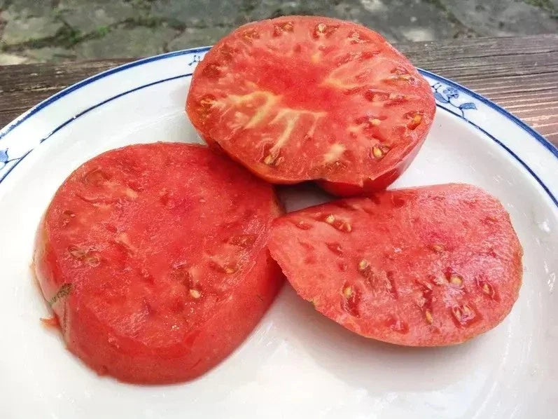 German Johnson Tomato Seeds - Heirloom Solanum lycopersicum - Large Juicy Tomatoes for Canning & Salads, 30+ Seeds