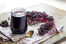 Fresh Elderberry Cuttings - Black-Bearing Variety - Grow 5 Bushes - Sambucus nigra
