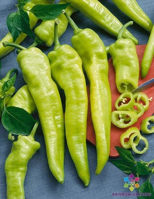 Hungarian Wax Hot Pepper Seeds - 25+ Pack for Garden Planting - Capsicum annuum - USA Grown - FREE SHIPPING