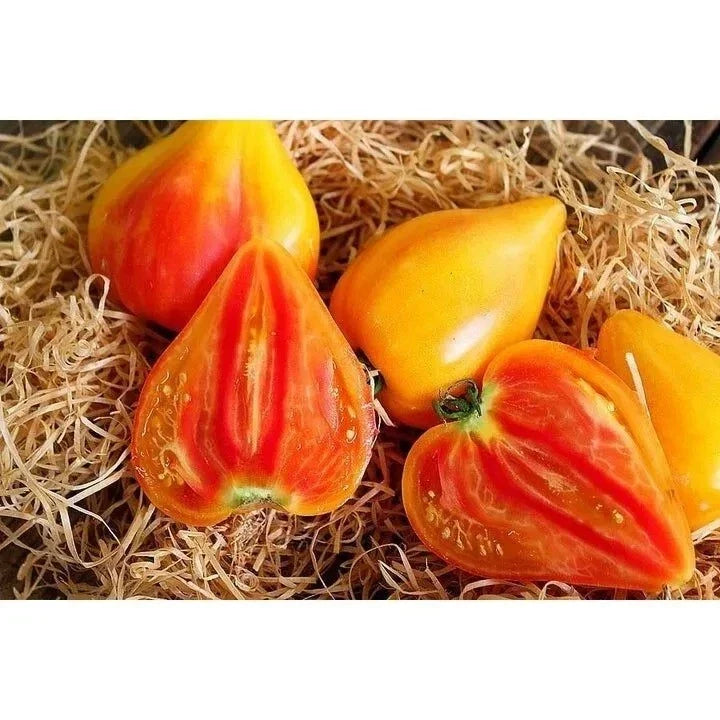 Orange Oxheart Tomato Seeds - Heirloom Organic Non-GMO, Rare Orange Tomato Seeds for Garden Planting, 30+ Seeds