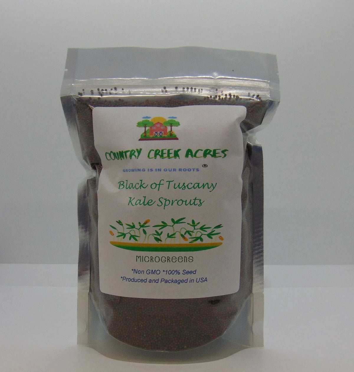 Black of Tuscany Kale Seeds - Heirloom Italian Brassica oleracea var. acephala, Bushy, Edible Greens, Non-GMO Seed Packet