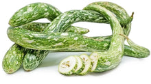 Speckled Snake Gourd Seeds (10 Seeds) - Grow Exotic 3 Foot Long Gourds, Luffa cylindrica