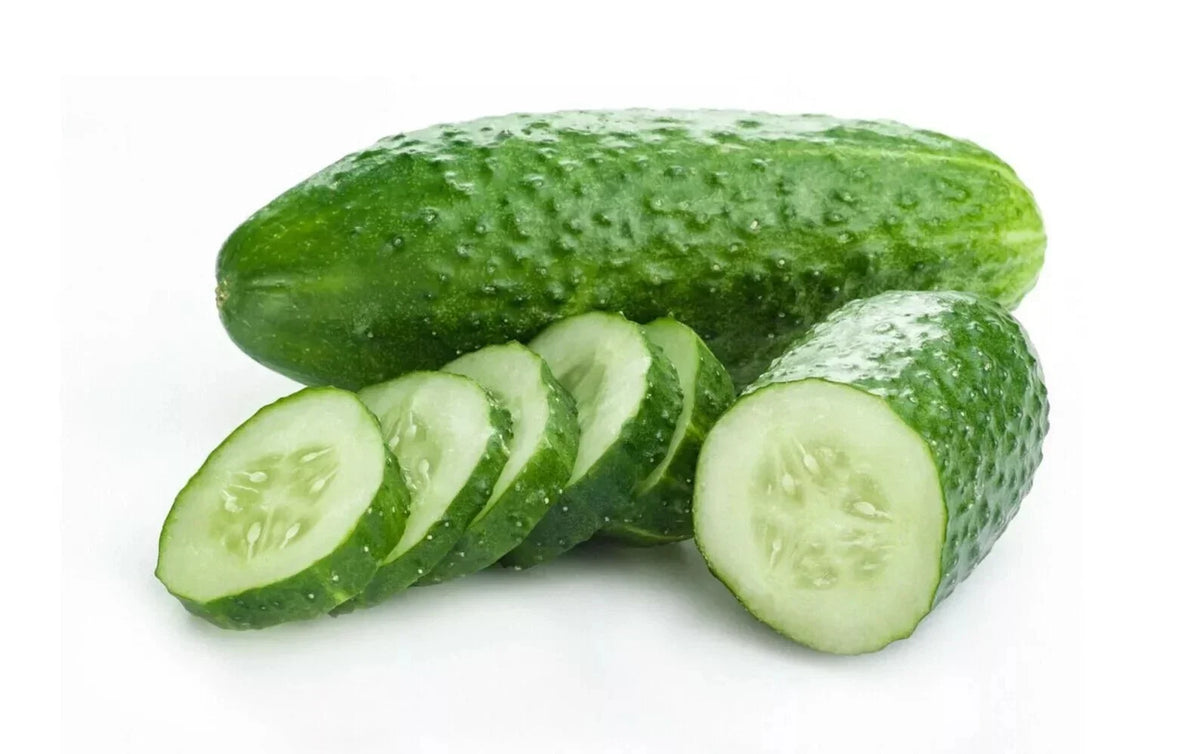 Arkansas Little Leaf Cucumber Seeds – Heirloom Organic Non-GMO Cucumis sativus Vegetable Seeds for Garden, Pickling & Salad