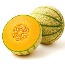 Honey Rock Cantaloupe Seeds 125+ Heirloom Non-GMO Sweet USA - Cucumis melo