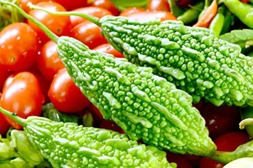 Bitter Gourd Seeds for Planting - 10 Pack - Green Variety - Momordica charantia