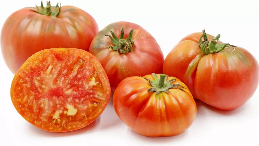 Vintage Wine Striped Tomato Seeds - 10+ Heirloom Beefsteak - RARE Huge 1 LB+ - Organic Gardening Variety