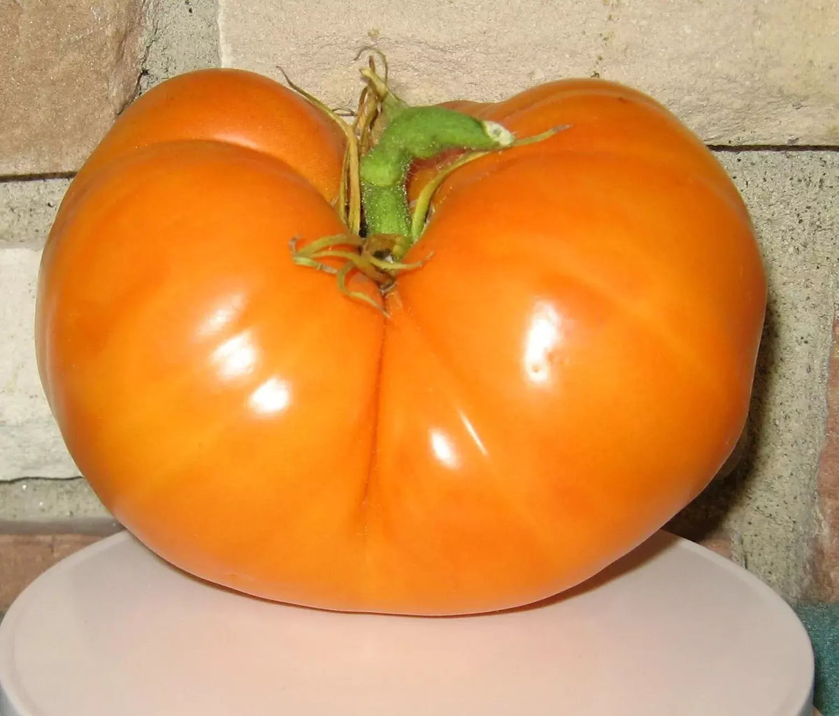 Amana Orange Tomato Seeds – Organic Non-GMO Heirloom Solanum lycopersicum, Juicy Orange Tomato Seeds for Home Gardens