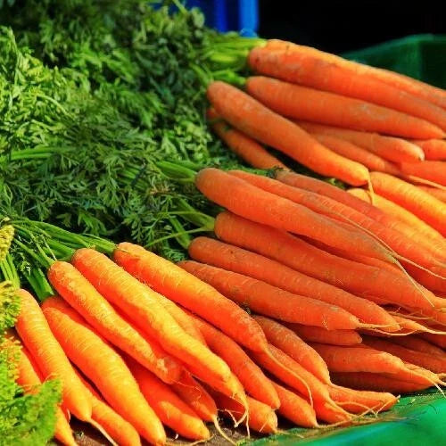 Tendersweet Carrot Seeds - 1000+ Non-GMO Heirloom Organic Seeds - Fresh Carrot Seeds (Daucus carota)