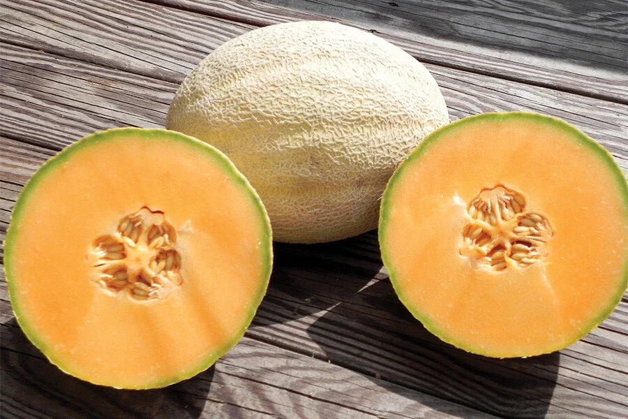 Cantaloupe Seeds - Cleopatra Variety - Fresh Cucumis melo Melons for Planting - Non-GMO, Sweet & Juicy