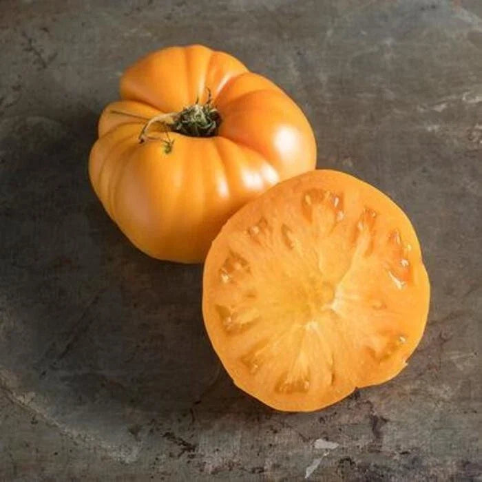 Yellow Brandywine Tomato Seeds - Organic Non-GMO Heirloom Solanum lycopersicum, Juicy Yellow Tomatoes, Pack of 10+ Seeds