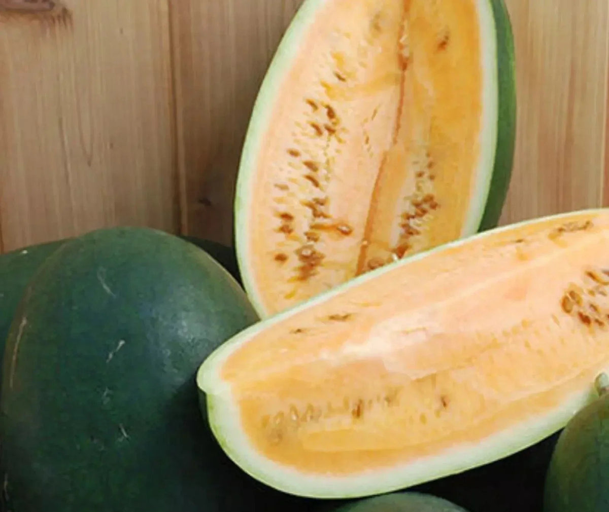 Siberian Watermelon Seeds - Organic Heirloom Citrullus lanatus - 10 Non-GMO Seeds for Sweet, Juicy Melons