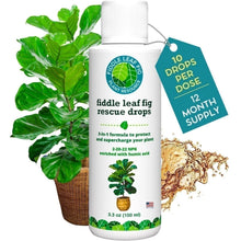 Fiddle Leaf Fig Rescue Drops - 100ml 3-in-1 Fertilizer, Root & Immunity Boost for Ficus lyrata