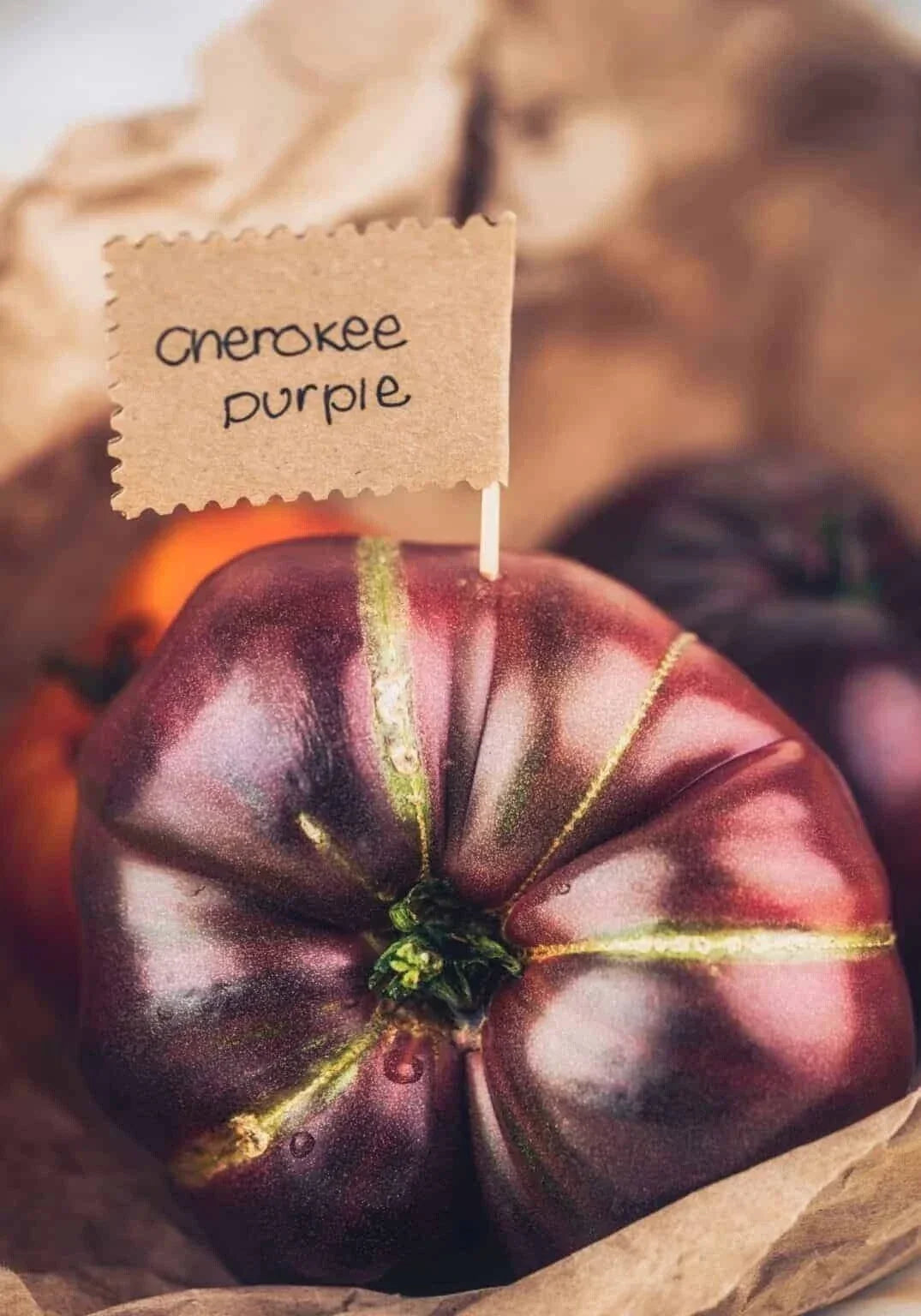 Cherokee Purple Tomato Seeds - Heirloom Organic Non-GMO, Solanum lycopersicum, Juicy, Rich Flavor, 30+ Seeds, Garden, Salad, Sauce