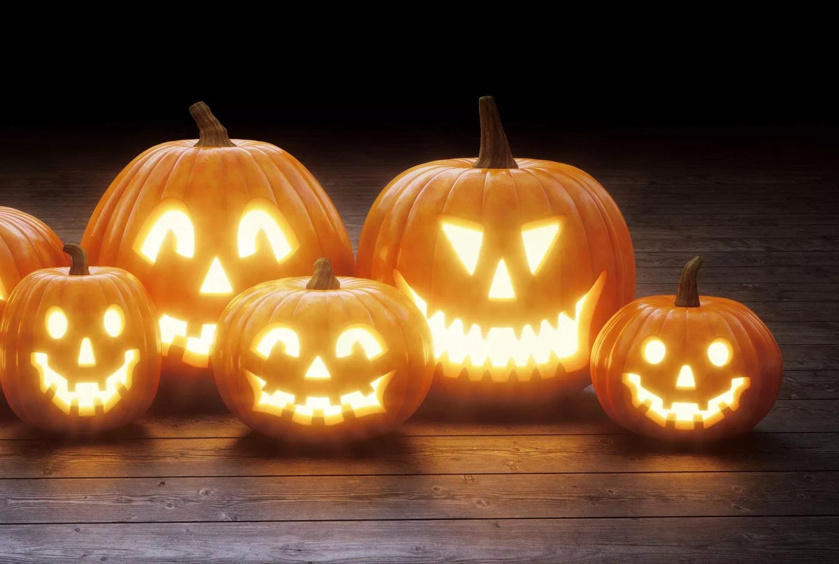 Jack O' Lantern Pumpkin Seeds - 20 Medium Sized Seeds for Planting | Cucurbita pepo