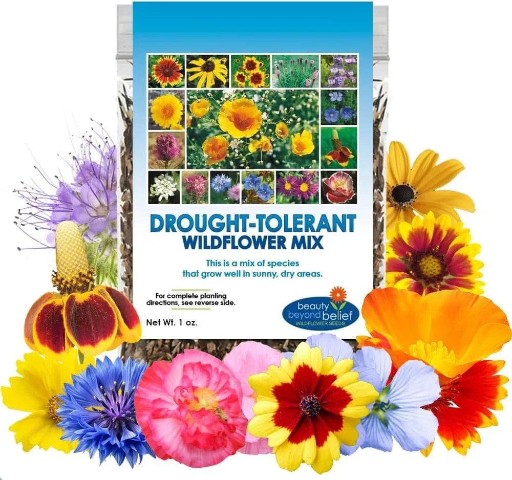Drought Resistant Wildflower Seeds - 1oz Bulk Mix for Gardens & Landscaping - Multi-Color Open-Pollinated Seed Pack