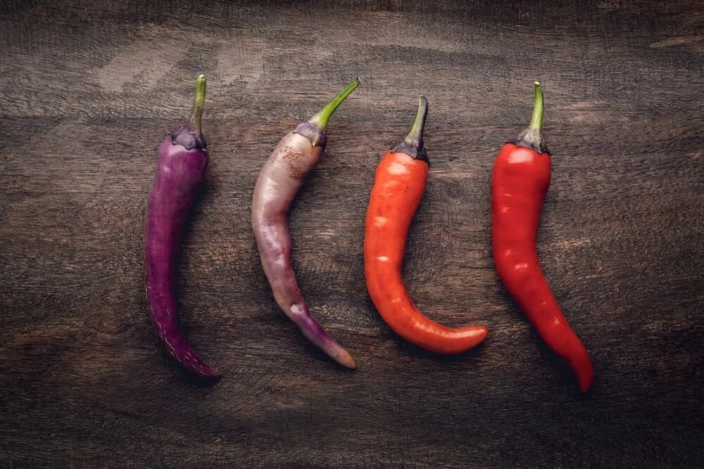 Buena Mulata Pepper Seeds - 50+ Capsicum annuum Seeds for Garden