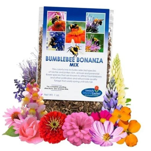 Wildflower Seeds - 1oz Open-Pollinated Mix for Pollinators, Native Plants, Eco-Friendly Gardening