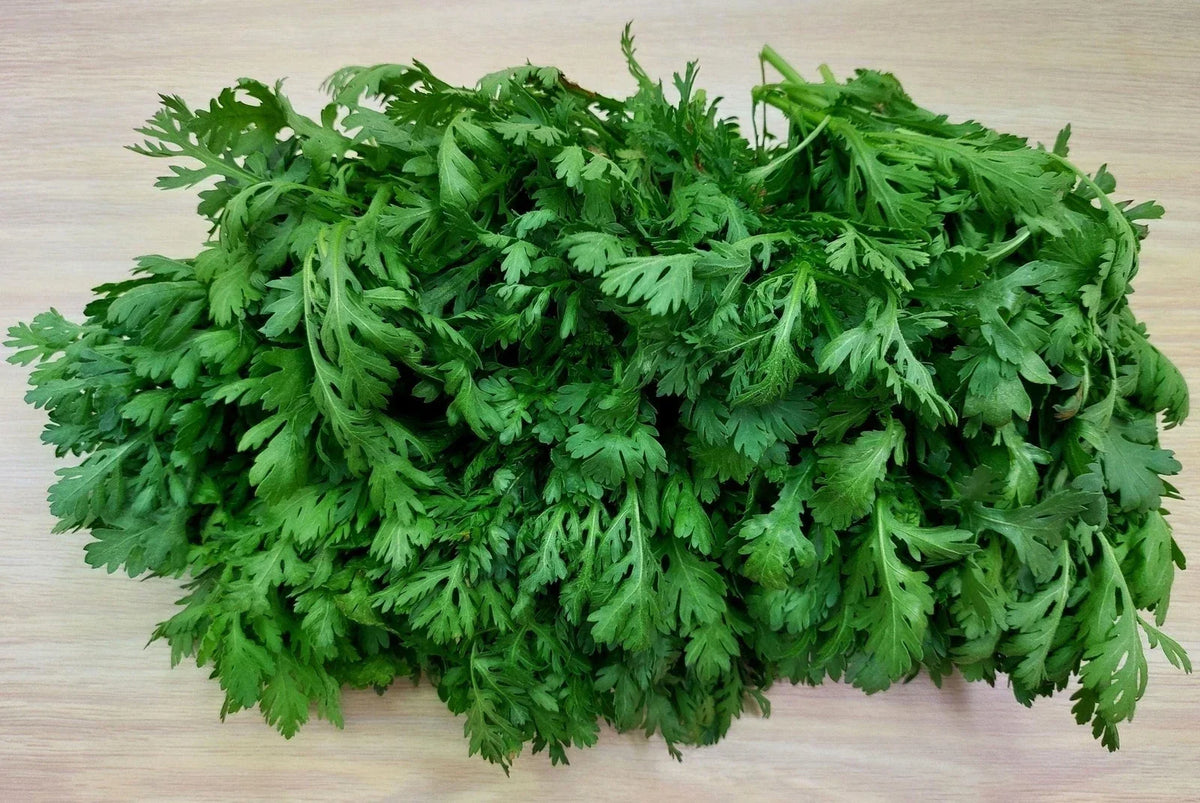 Shungiku Seeds 100g Asian Greens Edible Chrysanthemum Glebionis coronaria for Salads & Stir-Fries
