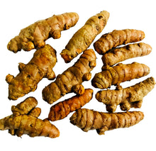 Turmeric Roots - 10PCS - Curcuma longa - Arthritis Relief, Tea & Cooking Use