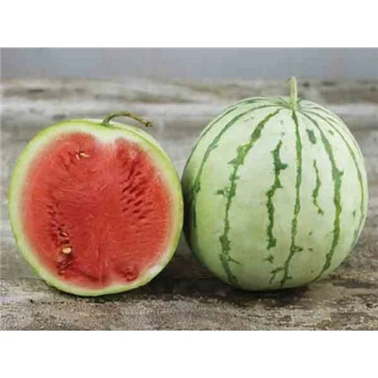 Dixie Queen Watermelon Seeds - Heirloom, Non-GMO, Crimson Flesh, Cuban Queen, Vining Plant, Pack of 25 Seeds