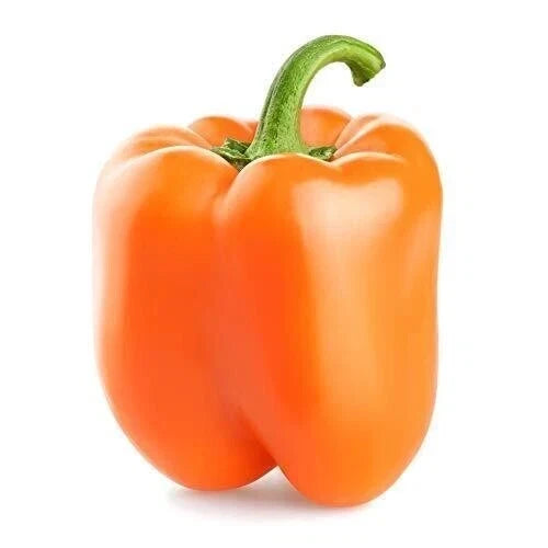 Organic Orange Sun Sweet Bell Pepper Seeds – 30+ Non-GMO Capsicum annuum for Garden, Container, and Fresh Cooking