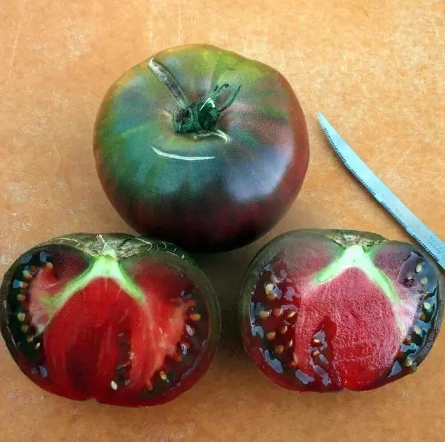 Black From Tula Tomato Seeds - Organic Heirloom Non-GMO, Rare Variety, Juicy Dark Tomatoes, Perfect for Home Gardening, Solanum lycopersicum