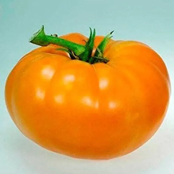 Amana Orange Tomato Seeds, 30 Count, Non-GMO, Heirloom Variety, Solanum lycopersicum