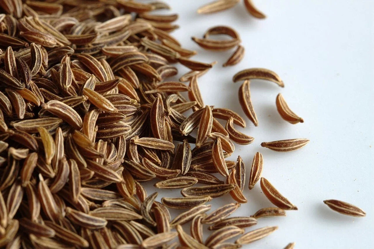 Caraway Seeds Pack of 2,000 | Non-GMO Herb Seeds for Growing Carum carvi, Fennel, Cumin | Culinary & Garden Use