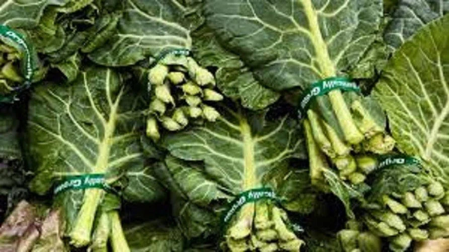 Heirloom Collard Greens Seeds - Organic Georgia Southern Variety - Non-GMO, High Yield, Leafy Greens, Brassica oleracea
