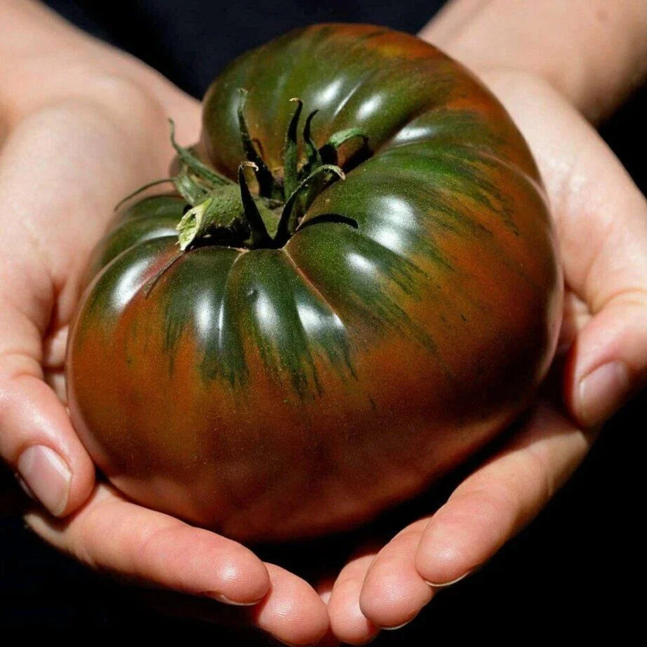 Russian Black Krim Tomato Seeds - 120+ Non-GMO Organic Heirloom Seeds - Fresh Gardening Supplies