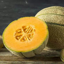 Honey Rock Melon Seeds, NON-GMO Cantaloupe, Sugar Rock Variety, Cucumis melo