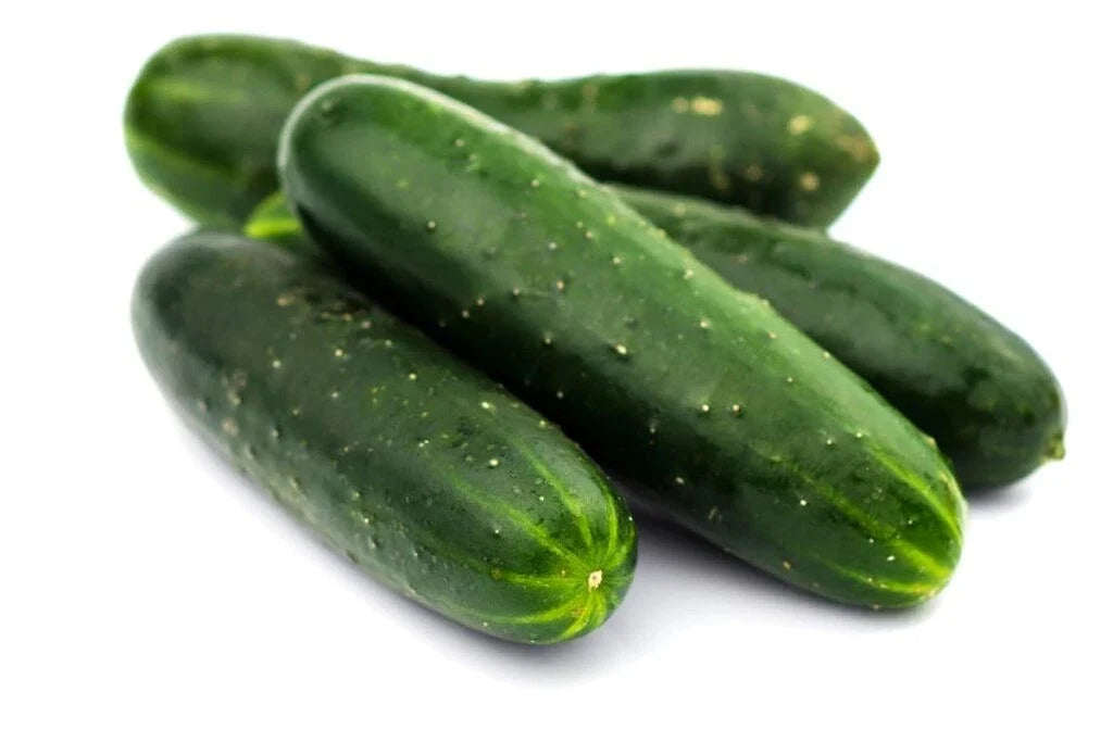 Carolina Cucumber Seeds - Organic Heirloom Non-GMO Pack of 50+ Cucumis sativus for Home Garden, Salad, Pickling