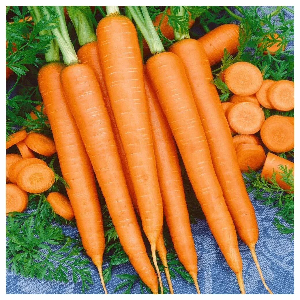 Tendersweet Carrot Seeds - Non-GMO, Heirloom Variety, Beta Carotene, Vitamin A, Garden Planting Seeds