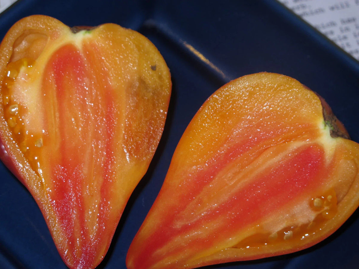 Orange Oxheart Tomato Seeds - 120+ Heirloom Organic Seeds - RARE Variety - Perfect for Home Gardening