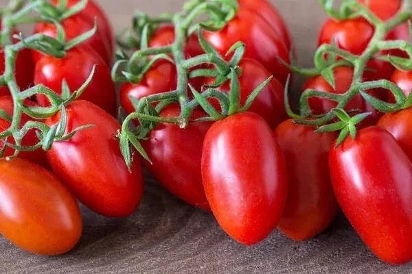 Organic Roma Tomato Seeds – Heirloom, Non-GMO, 30+ Packets – Solanum lycopersicum Vegetable for Canning & Salads