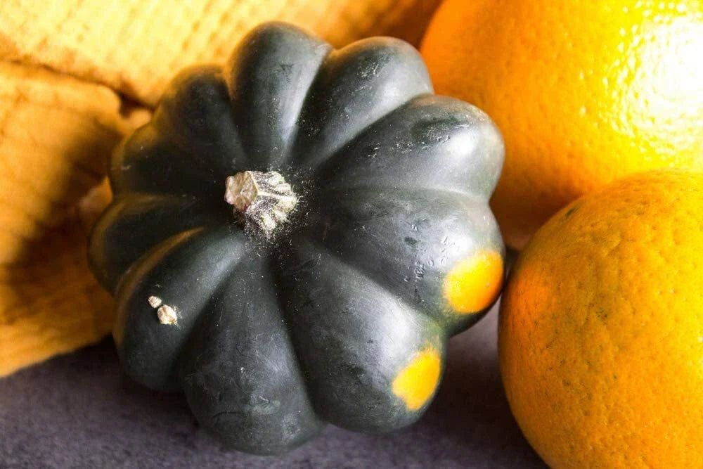 Giant Acorn Squash Seeds - 50 Pack - Nutritious Table Squash - Cucurbita maxima